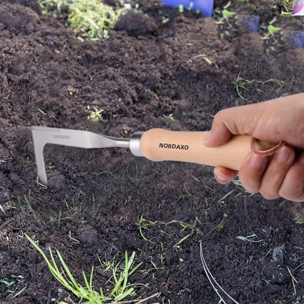NORDAXO Crack Weeder 12" Stainless Steel Crevice Weeding Tool
